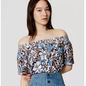 NWT brown and blue floral short sleeve top.
